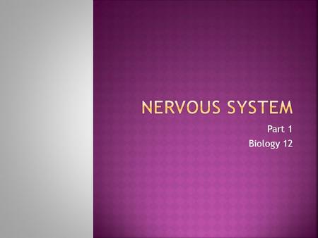 Part 1 Biology 12.  An integral part of your body’s communication system.  It plays an important role in the smooth functioning of the body.  The nervous.