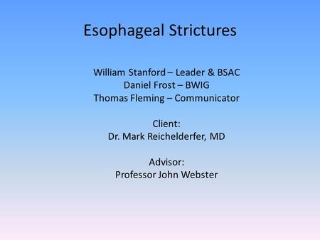 Esophageal Strictures William Stanford – Leader & BSAC Daniel Frost – BWIG Thomas Fleming – Communicator Client: Dr. Mark Reichelderfer, MD Advisor: Professor.