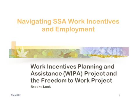 Navigating SSA Work Incentives and Employment