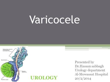 Varicocele UROLOGY Presented by Dr.Hassan sabbagh Urology department