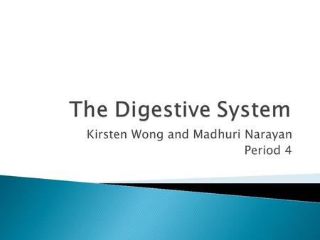 Kirsten Wong and Madhuri Narayan Period 4. What is the main purpose of the Digestive System?