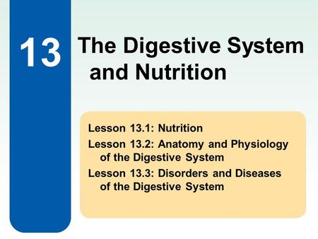 13 The Digestive System and Nutrition