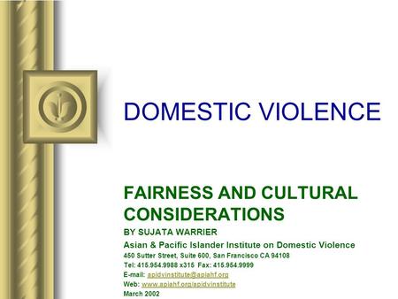DOMESTIC VIOLENCE FAIRNESS AND CULTURAL CONSIDERATIONS