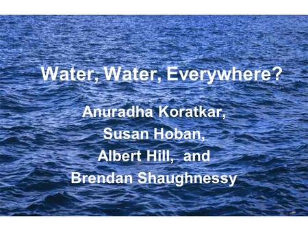 Water, Water, Everywhere? Anuradha Koratkar, Susan Hoban, Albert Hill, and Brendan Shaughnessy.