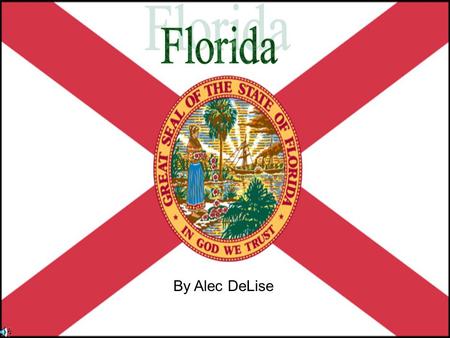 By Alec DeLise. MENU Landmarks Facts Flag Maps Famous people Sources Symbols State Symbols Why Would People Go To FLORIDA.