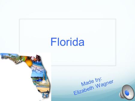Florida Made by: Elizabeth Wagner Geographer Capital: Tallahassee Major cities: 1. Orlando 2. Tampa 3. Jacksonville One of the most famous mountain ranges,