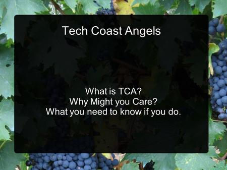 Tech Coast Angels What is TCA? Why Might you Care? What you need to know if you do.