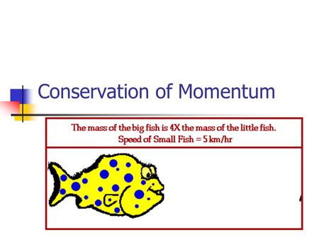 Conservation of Momentum. Conserved Total momentum of a system before and after an interaction remains constant Momentum before = Momentum After Two balls.
