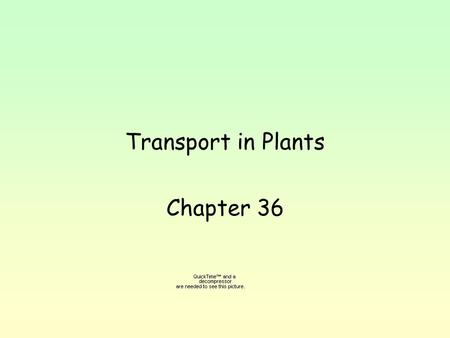 Transport in Plants Chapter 36. To get onto land, plants evolved way to keep from drying out, to stand upright. Transport nutrients and water both over.