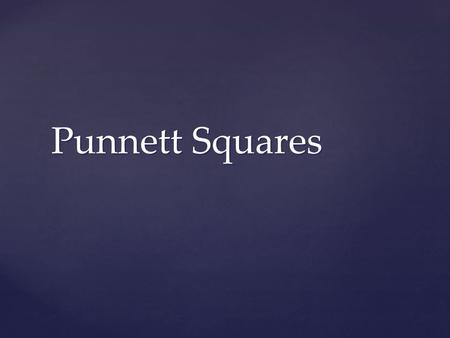 Punnett Squares. Be ready to answer!  Which is an example of heterozygous alleles?  Tt  MM  mm.