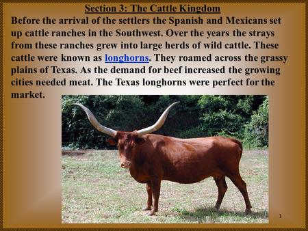 1 Section 3: The Cattle Kingdom Before the arrival of the settlers the Spanish and Mexicans set up cattle ranches in the Southwest. Over the years the.