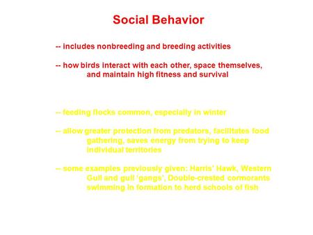 Social Behavior -- includes nonbreeding and breeding activities -- how birds interact with each other, space themselves, and maintain high fitness and.