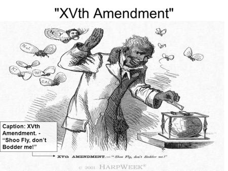 XVth Amendment Caption: XVth Amendment. - “Shoo Fly, don’t Bodder me!”