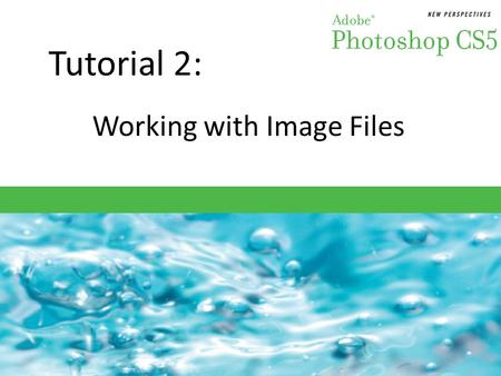 Tutorial 2: Working with Image Files. Objectives Session 2.1 Learn about file formats and their uses Change file type, file size, and resolution Examine.