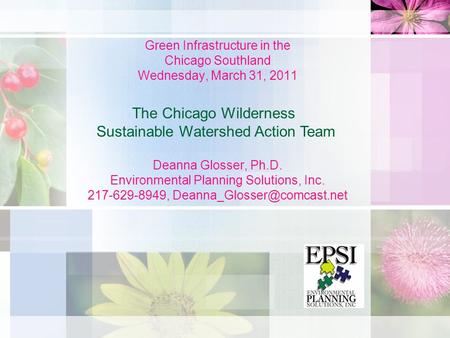 Green Infrastructure in the Chicago Southland Wednesday, March 31, 2011 Deanna Glosser, Ph.D. Environmental Planning Solutions, Inc. 217-629-8949,
