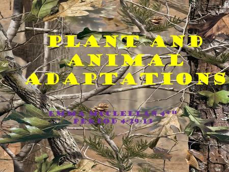 Plant and animal adaptations EMMA MCCLELLAN 4 TH PERIOD 4-29-13.