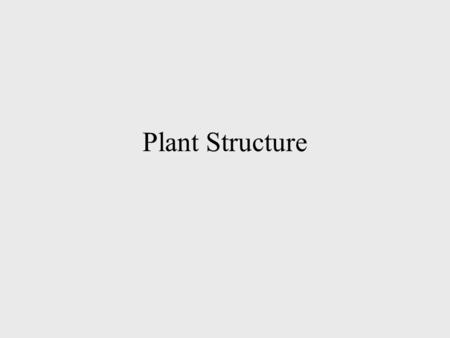 Plant Structure. Plant Tissues A tissue is a group of cells organized to form a functional unit or a structural unit Plants have 3 tissue systems: Ground.