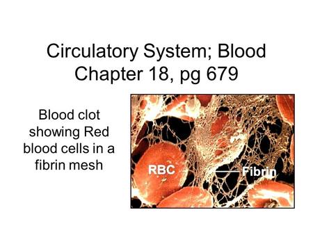 Circulatory System; Blood Chapter 18, pg 679 Blood clot showing Red blood cells in a fibrin mesh.