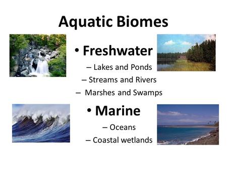 Aquatic Biomes Freshwater – Lakes and Ponds – Streams and Rivers – Marshes and Swamps Marine – Oceans – Coastal wetlands.