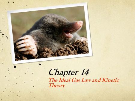 Chapter 14 The Ideal Gas Law and Kinetic Theory. To facilitate comparison of the mass of one atom with another, a mass scale know as the atomic mass scale.