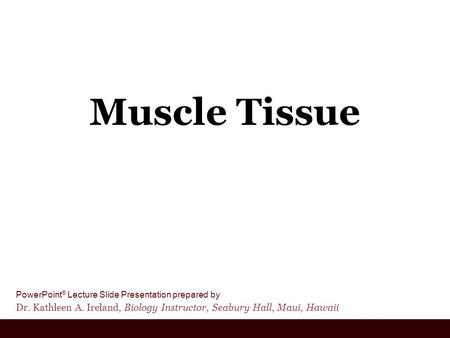 Muscle Tissue.