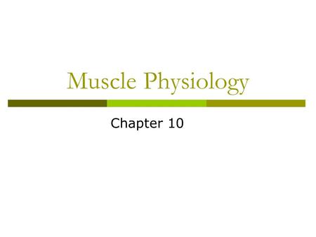 Muscle Physiology Chapter 10.