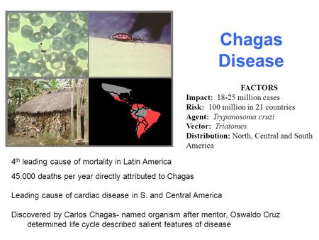 Chagas Disease FACTORS Impact: 18-25 million cases Risk: 100 million in 21 countries Agent: Trypanosoma cruzi Vector: Triatomes Distribution: North, Central.