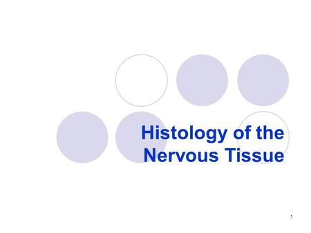 Histology of the Nervous Tissue 1. nervous system overview Nervous system  Monitors and processes sensory information from the environment and from within.
