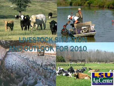Ross Pruitt Extension Livestock Economist. Summary  Recap of Overall Meat Complex in 2009  Beef Situation and Outlook  Poultry Situation and Outlook.