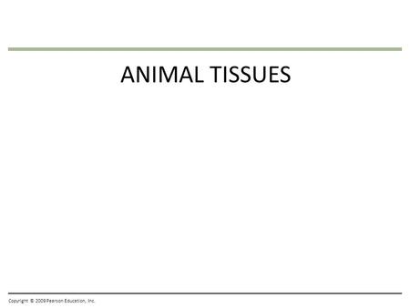 ANIMAL TISSUES Copyright © 2009 Pearson Education, Inc.