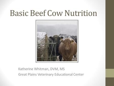 Basic Beef Cow Nutrition Katherine Whitman, DVM, MS Great Plains Veterinary Educational Center.