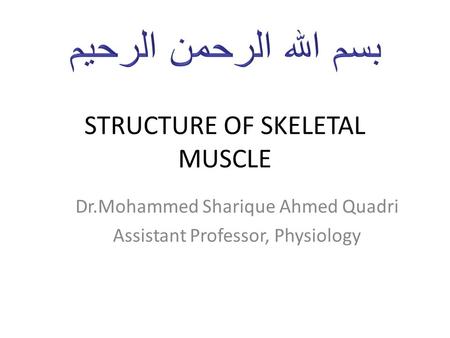 STRUCTURE OF SKELETAL MUSCLE Dr.Mohammed Sharique Ahmed Quadri Assistant Professor, Physiology.