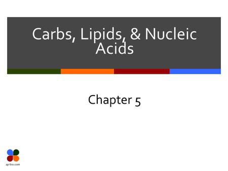Carbs, Lipids, & Nucleic Acids Chapter 5. Carbohydrates.