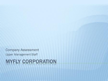 Company Assessment Upper Management Staff. Achieve Brand Awareness Maximize Shareholder Value Establish Market Share.