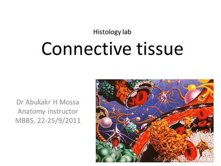 Dr Abukakr H Mossa Anatomy instructor MBBS, 22-25/9/2011 Histology lab Connective tissue.