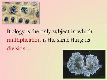 2007-2008 Biology is the only subject in which multiplication is the same thing as division…