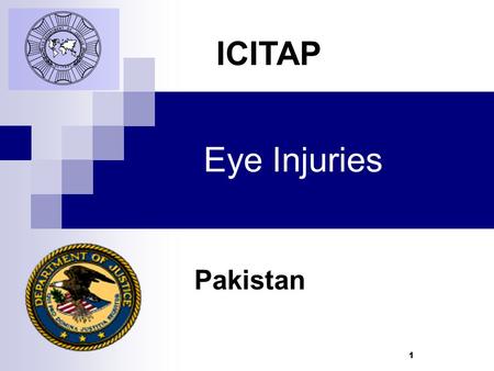1 Eye Injuries Pakistan ICITAP. 2 Learning Objectives To be able to identify both a normal eye and an eye suffering from an abnormality To be familiar.