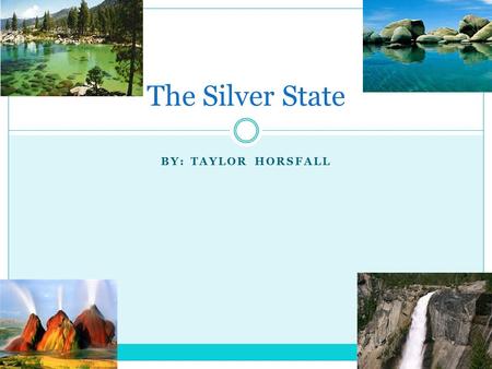 BY: TAYLOR HORSFALL The Silver State. Symbols There are many Nevadan symbols here are the ones I found…  State seal  State flag  Mountain bluebird.