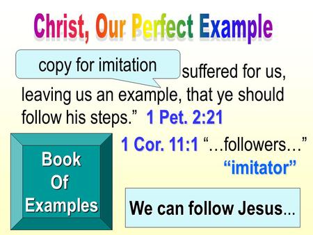 1 Pet. 2:21 “...because Christ also suffered for us, leaving us an example, that ye should follow his steps.” 1 Pet. 2:21 BookOfExamples 1 Cor. 11:1 “imitator”