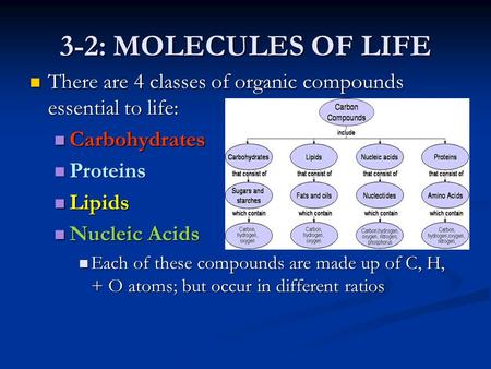 3-2: MOLECULES OF LIFE There are 4 classes of organic compounds essential to life: Carbohydrates Proteins Lipids Nucleic Acids Each of these compounds.