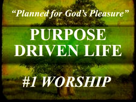 PURPOSE DRIVEN LIFE “Planned for God’s Pleasure” #1 WORSHIP.