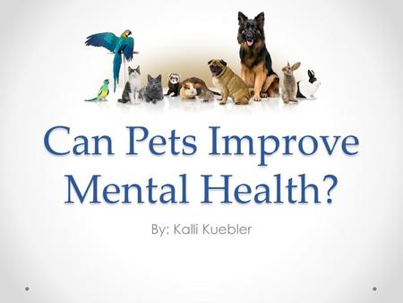 Can Pets Improve Mental Health? By: Kalli Kuebler.