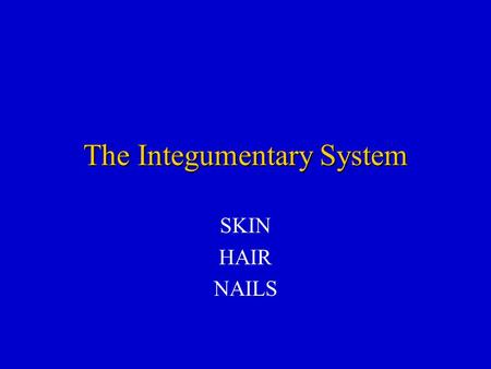 powerpoint presentation about integumentary system