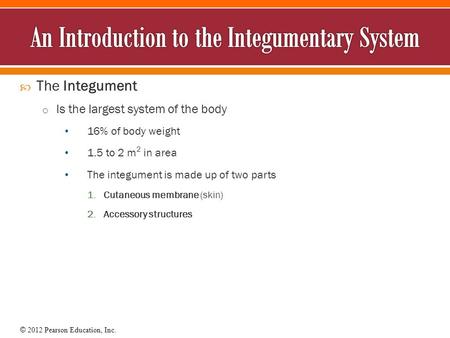 An Introduction to the Integumentary System