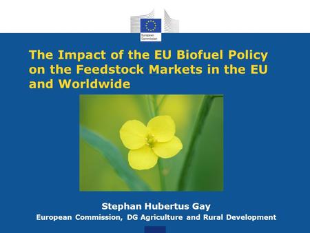 The Impact of the EU Biofuel Policy on the Feedstock Markets in the EU and Worldwide Stephan Hubertus Gay European Commission, DG Agriculture and Rural.