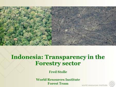 Indonesia: Transparency in the Forestry sector Fred Stolle World Resources Institute Forest Team.