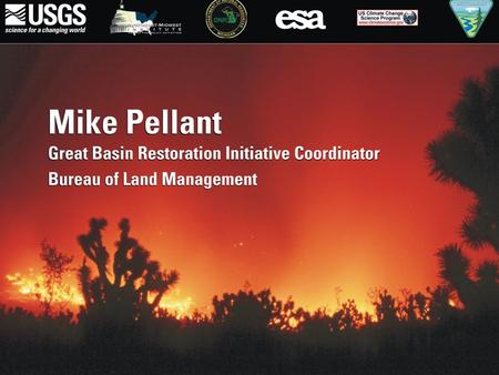 Great Basin: Wildfires, Invasive Species, & Climate Change Mike Pellant Great Basin Restoration Initiative Coordinator Boise, ID Cheatgrass.