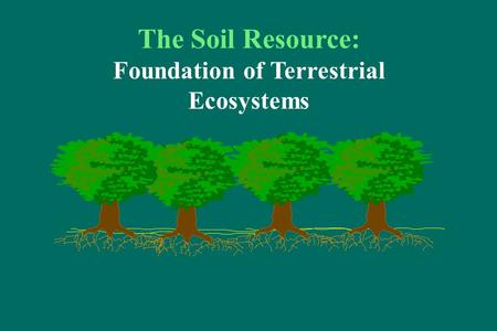 The Soil Resource: Foundation of Terrestrial Ecosystems.