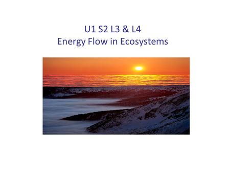 U1 S2 L3 & L4 Energy Flow in Ecosystems. What Affects the amount of Energy Reaching Ecosystems? Albedo Other Environmental Factors.