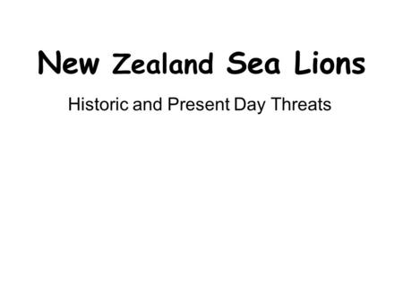New Zealand Sea Lions Historic and Present Day Threats.